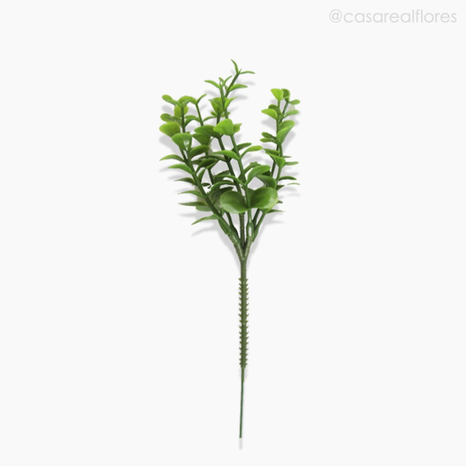 Imagem 2 do produto Pick Eucalyptus Artificial - Verde Claro (3932)