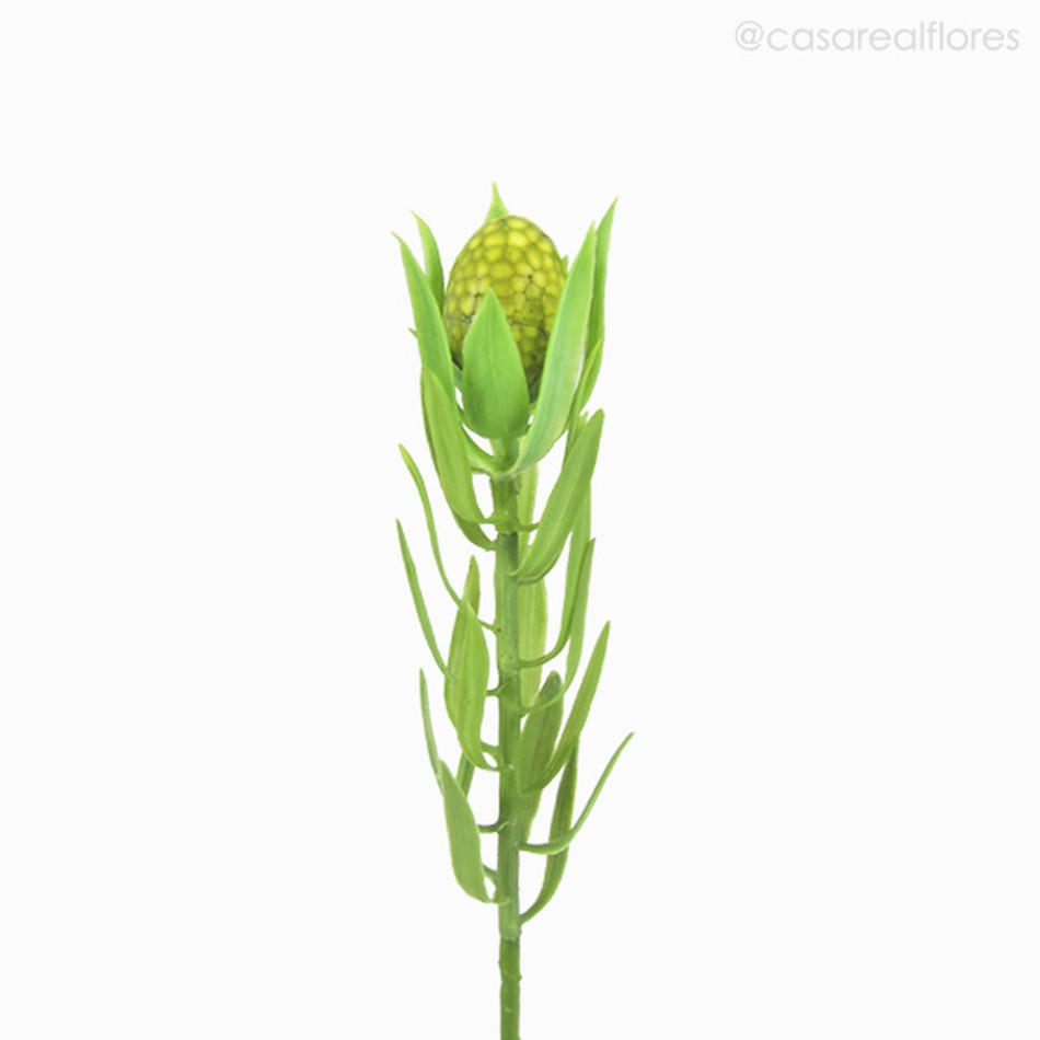 Imagem 2 do produto Galho Tropical Leucadendron Artificial- Verde (11428)