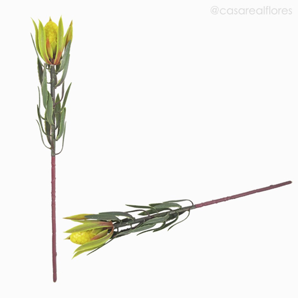 Imagem 5 do produto Galho Tropical Leucadendron Artificial - Amarelo (11429)