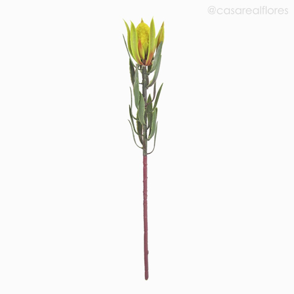 Imagem 1 do produto Galho Tropical Leucadendron Artificial - Amarelo (11429)