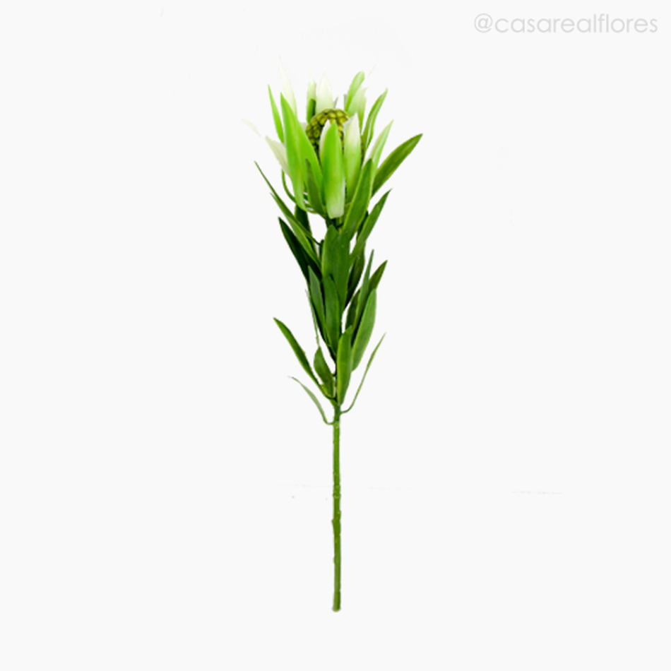 Imagem 1 do produto Galho Tropical Leucadendron Artificial - Verde (11399)
