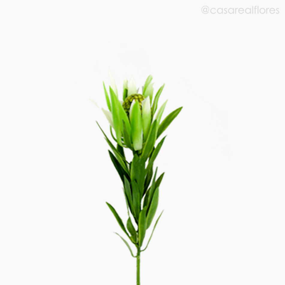 Imagem 2 do produto Galho Tropical Leucadendron Artificial - Verde (11399)