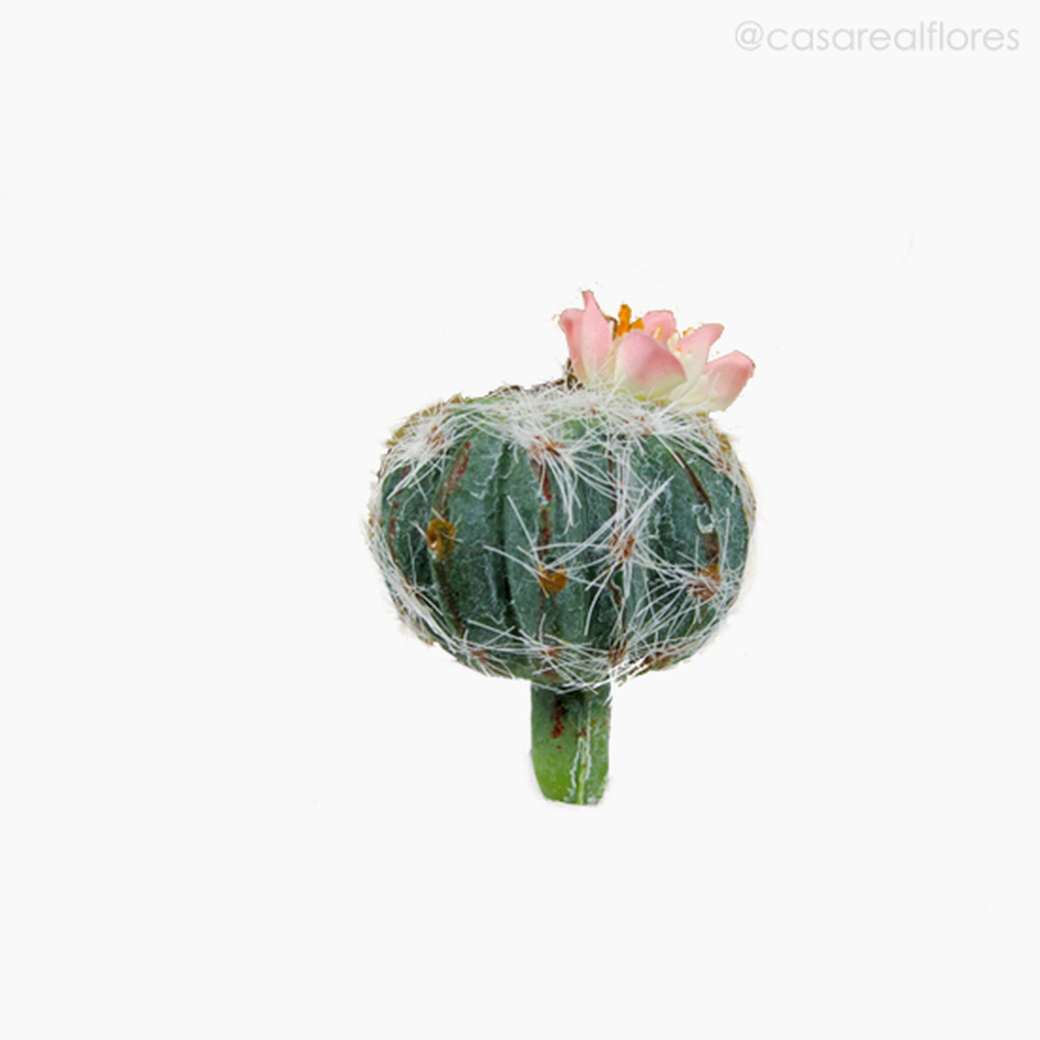 Imagem 1 do produto Cactus com Flor Artificial - Verde (11154)