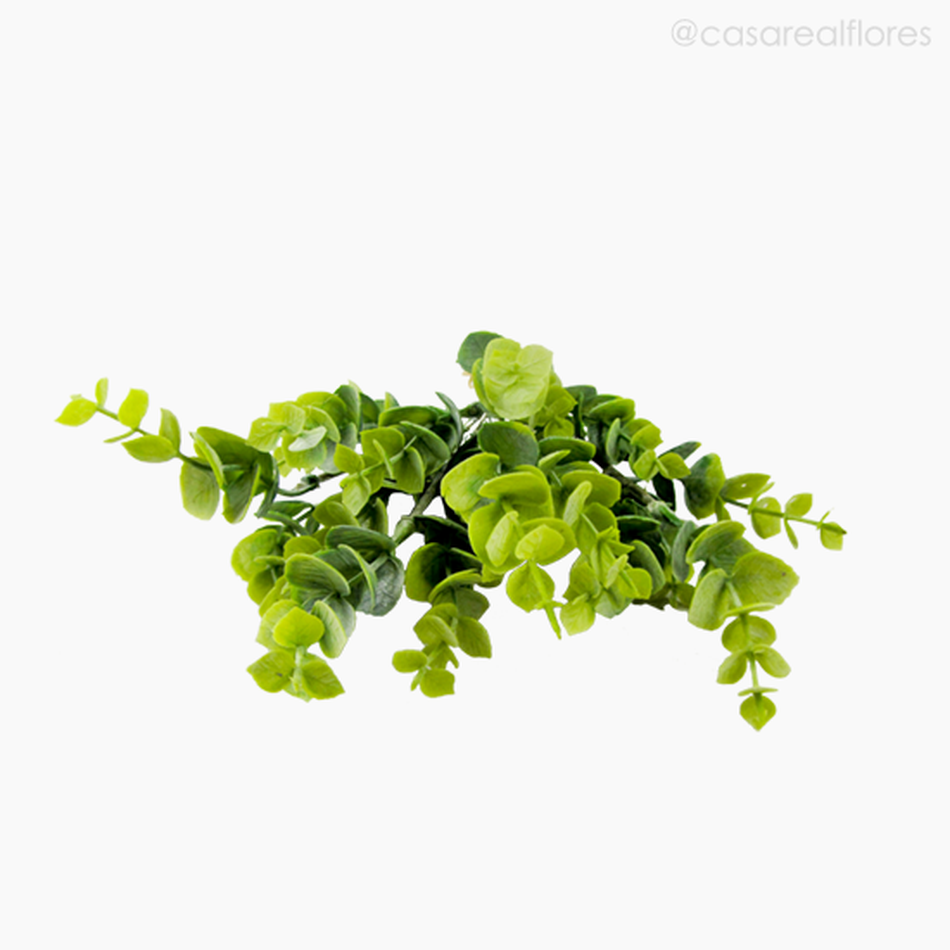 Imagem 3 do produto Buquê Eucalyptus com Raffia Artificial - Verde (11124)