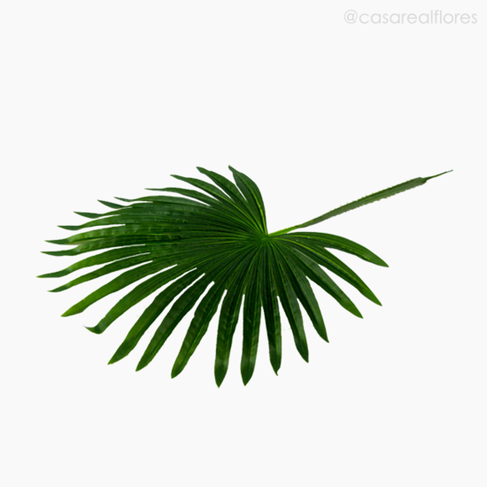 Imagem 3 do produto Galho Folha Palmeira M Artificial - Verde Escuro (11143)