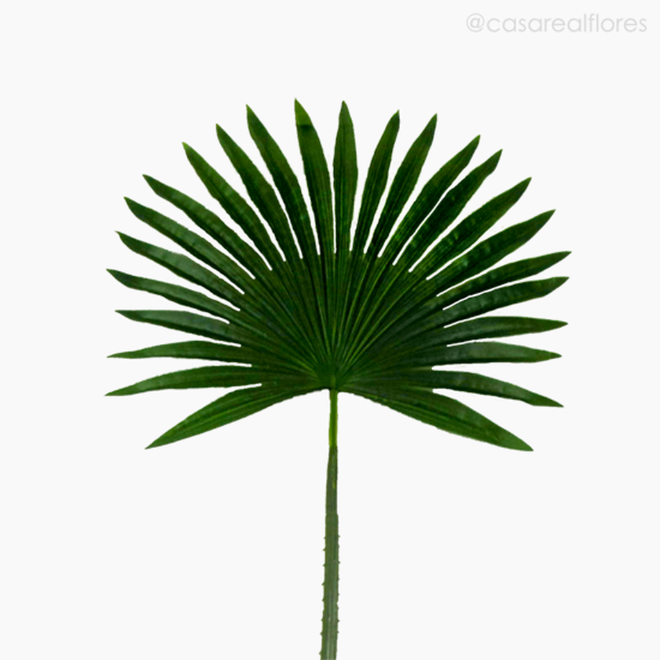 Imagem 2 do produto Galho Folha Palmeira M Artificial - Verde Escuro (11143)