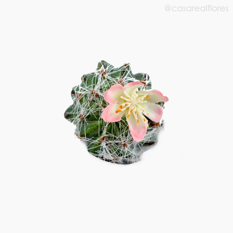 Imagem 2 do produto Cactus com Flor Artificial - Verde (11154)