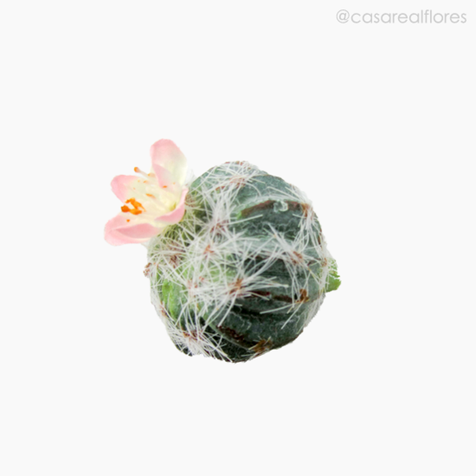 Imagem 3 do produto Cactus com Flor Artificial - Verde (11154)