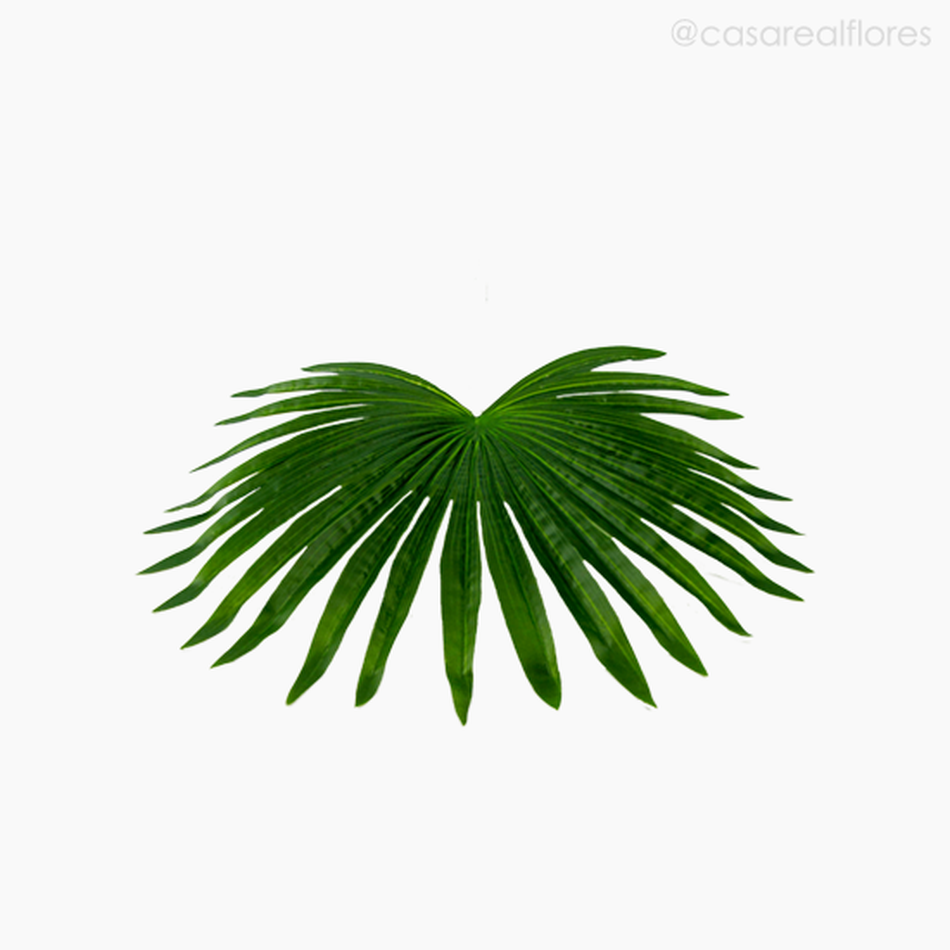Imagem 4 do produto Galho Folha Palmeira M Artificial - Verde Escuro (11143)