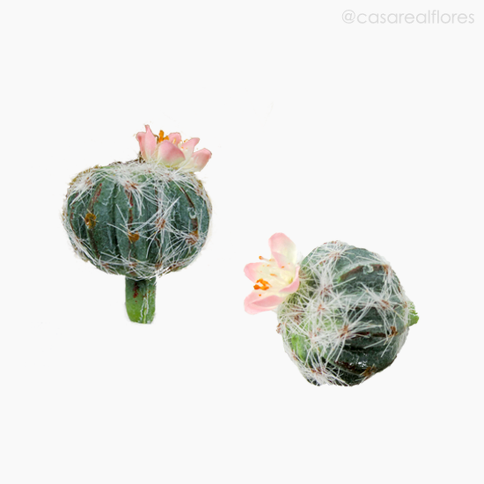 Imagem 4 do produto Cactus com Flor Artificial - Verde (11154)