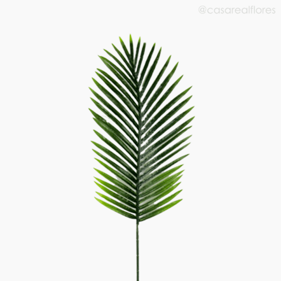 Imagem 2 do produto Galho Folha Acera Palmeira Artificial - Verde Escuro (11146)