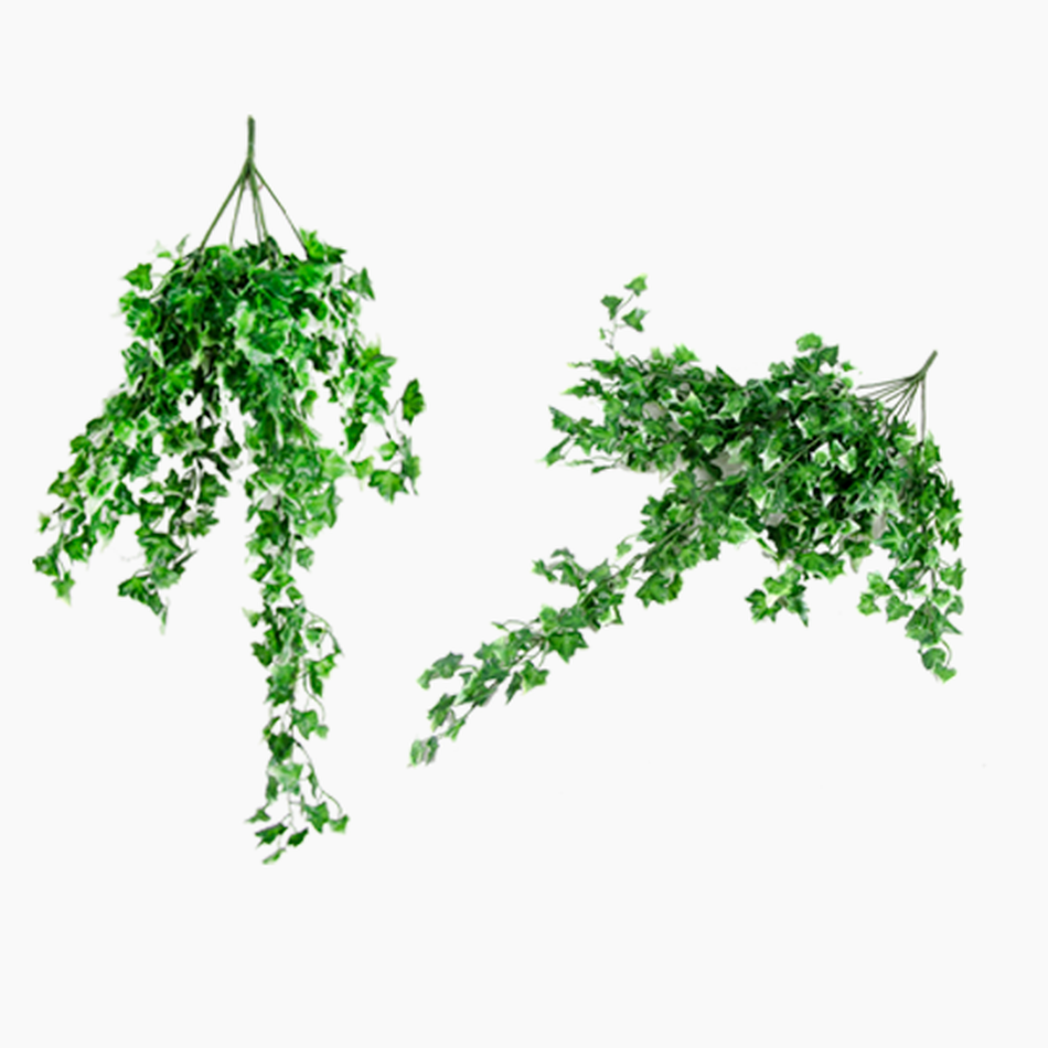 Imagem 4 do produto Folhagem Ivy Artificial - Verde Escuro (9569)