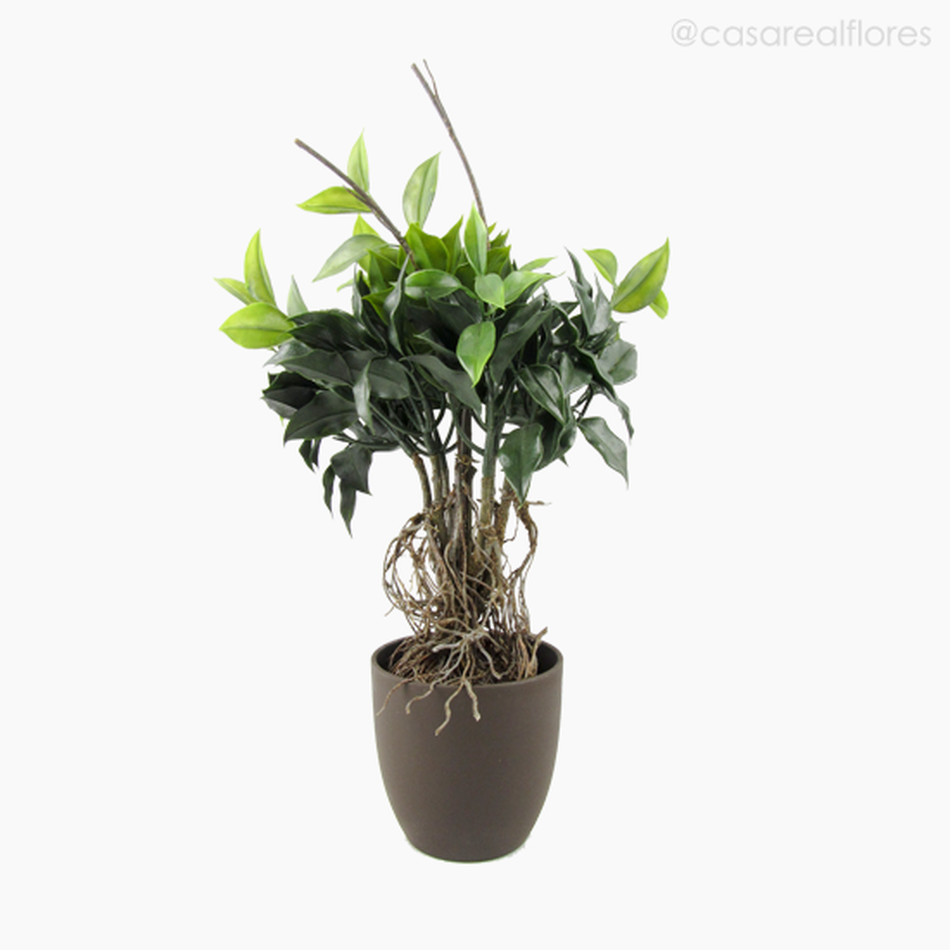 Imagem 1 do produto Topiaria Ficus Artificial - Verde (9236)