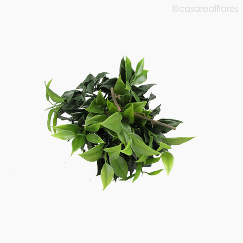 Imagem 3 do produto Topiaria Ficus Artificial - Verde (9236)