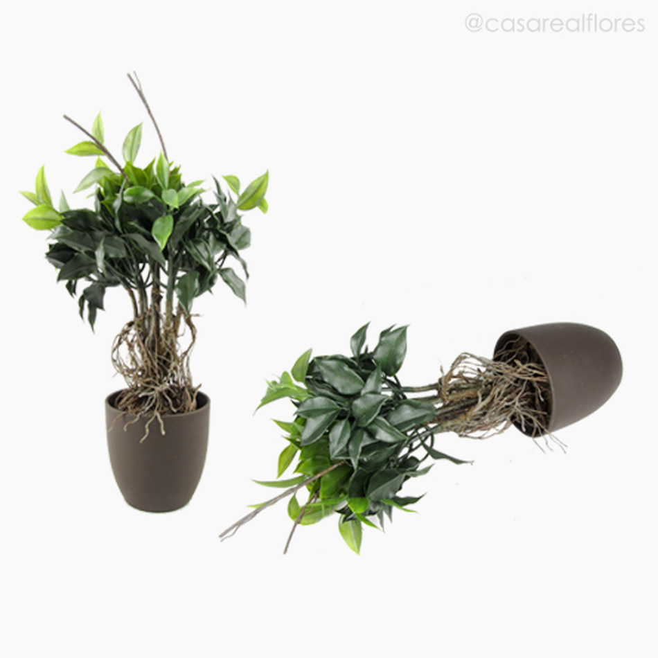 Imagem 4 do produto Topiaria Ficus Artificial - Verde (9236)