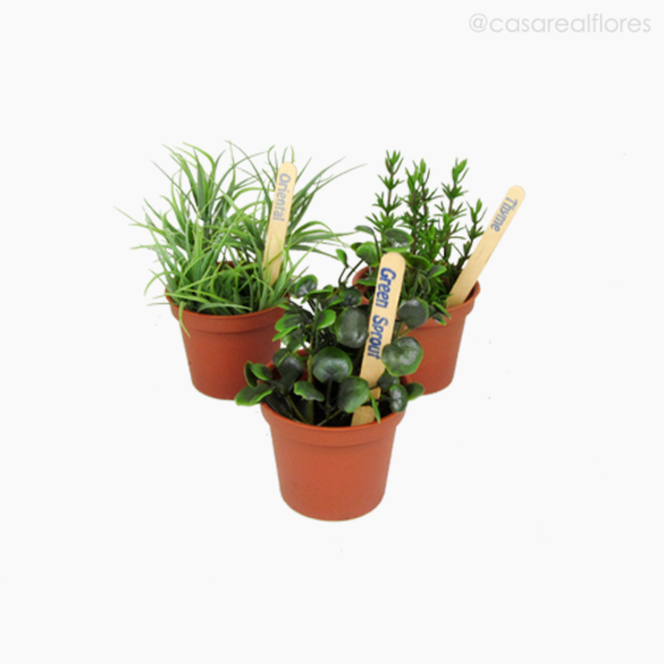 Imagem 3 do produto Mini Ervas no Vasinho Artificial - Verde (9572)