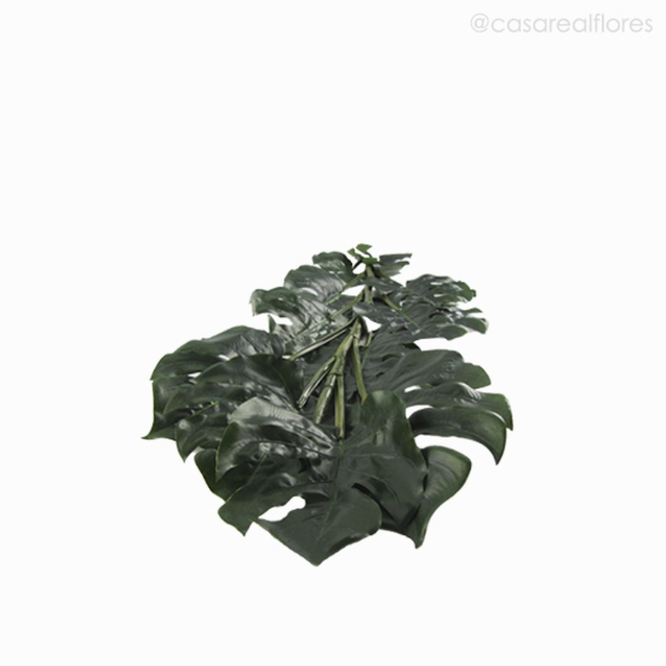 Imagem 3 do produto Folha Costela de Adão - Verde Escuro (10901)