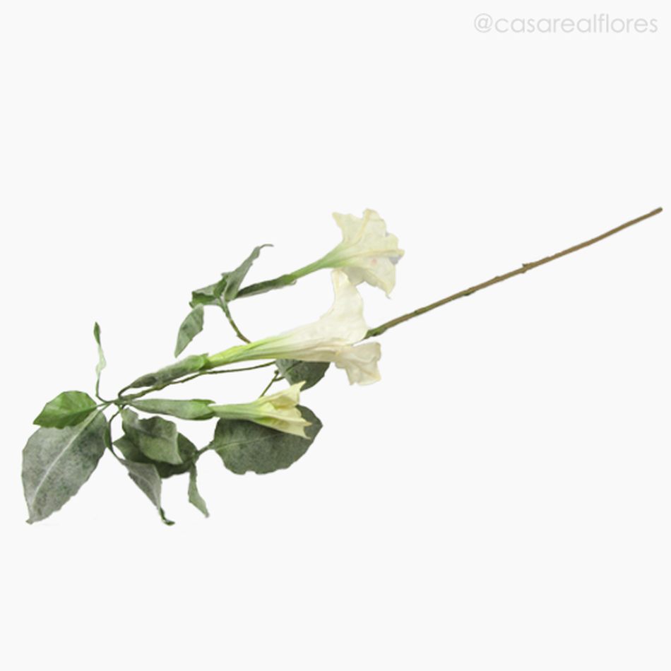 Imagem 3 do produto Flor Trompeta de Anjo - Branco (7134)