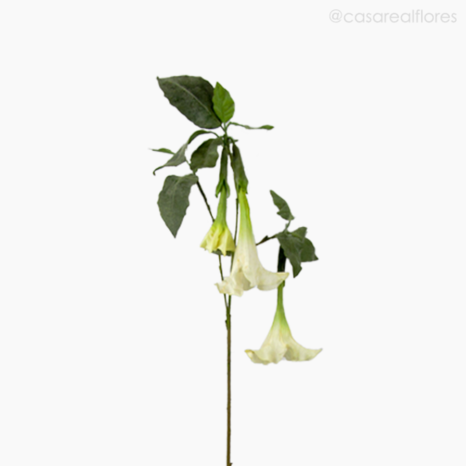 Imagem 2 do produto Flor Trompeta de Anjo - Branco (7134)