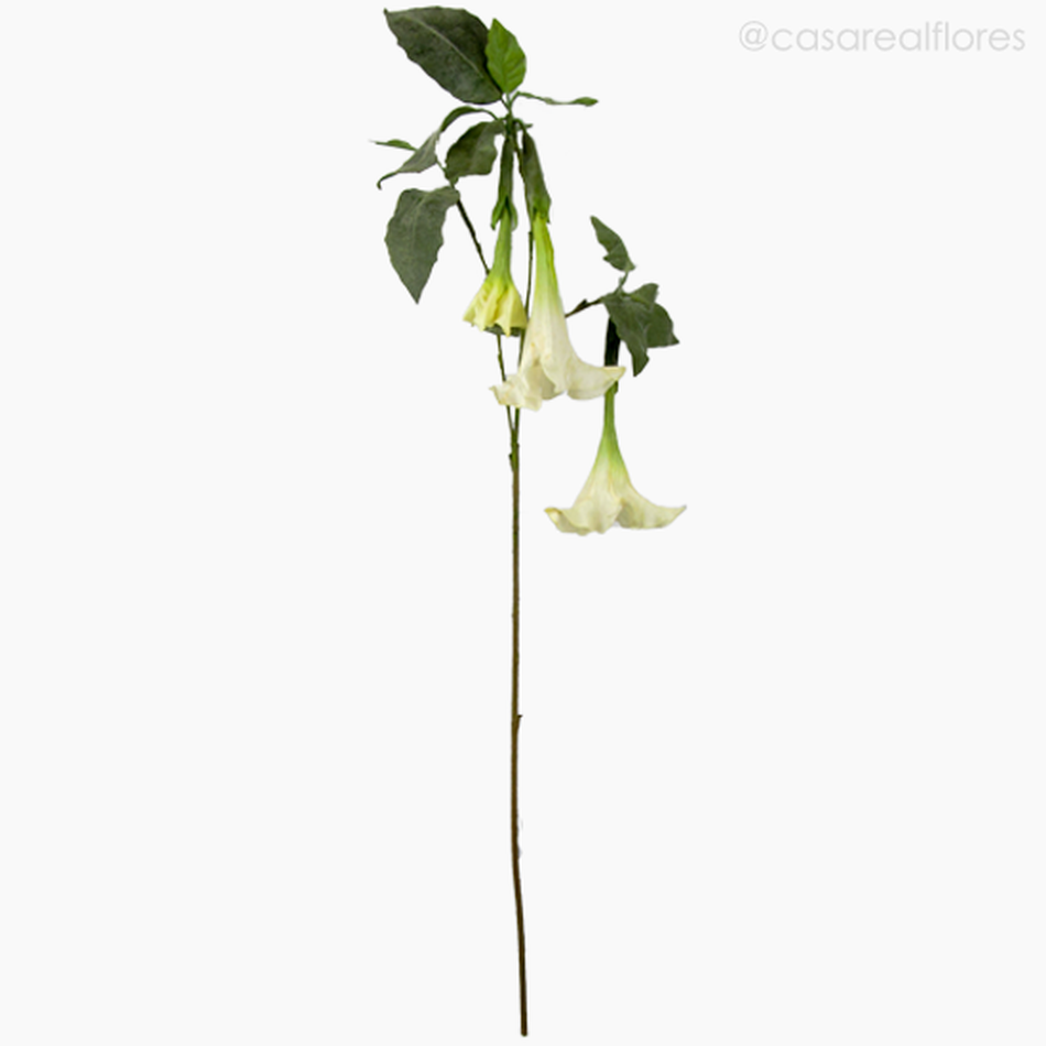 Imagem 1 do produto Flor Trompeta de Anjo - Branco (7134)