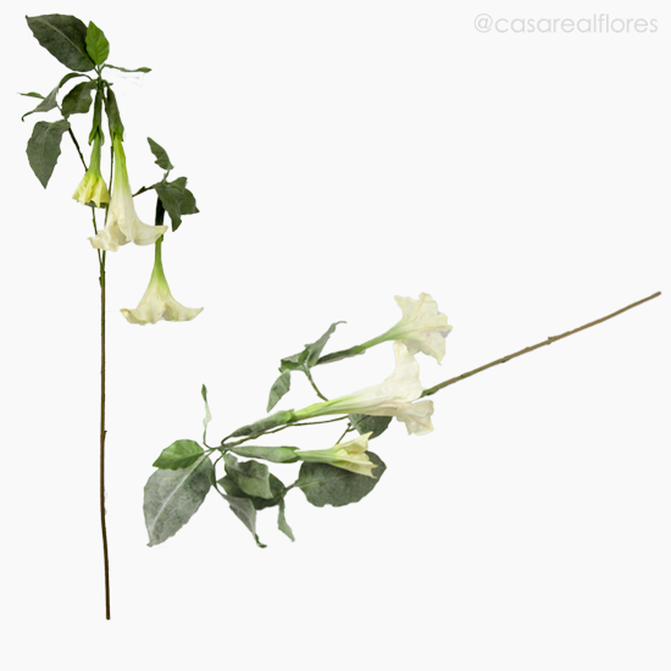 Imagem 5 do produto Flor Trompeta de Anjo - Branco (7134)