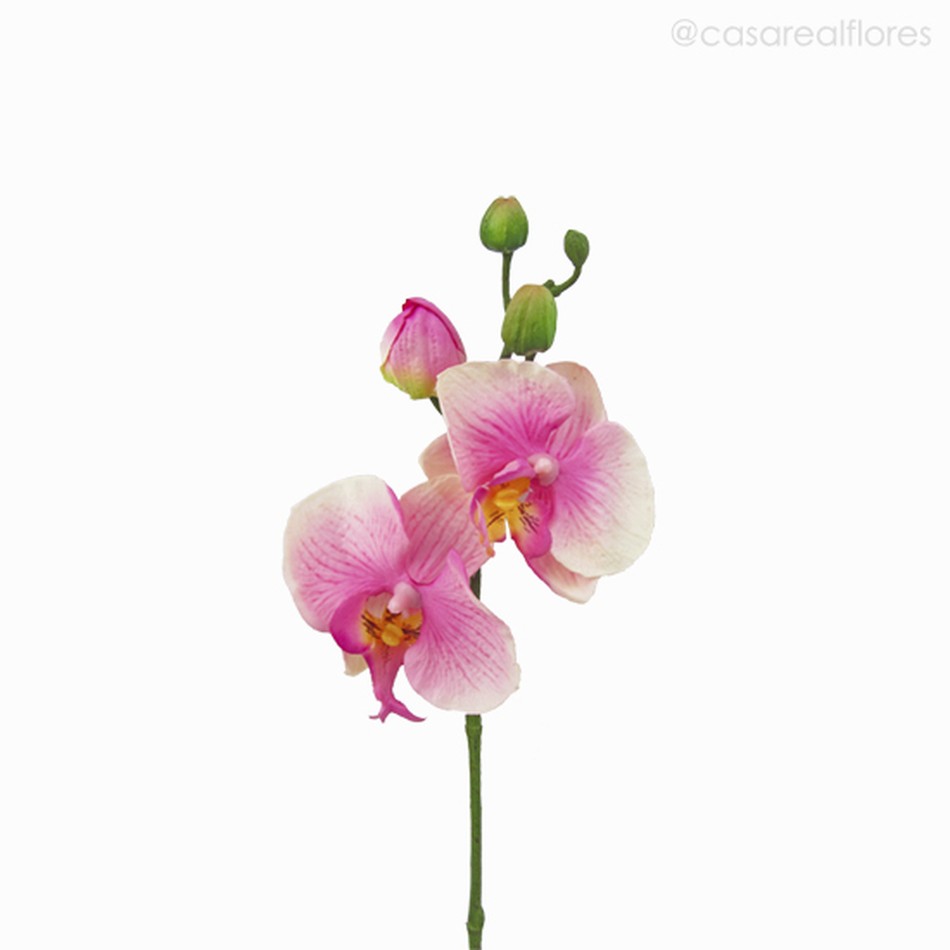 Imagem 2 do produto Orquídea Phalaenopsis (P) - PK Artificial - Rosa (9771)