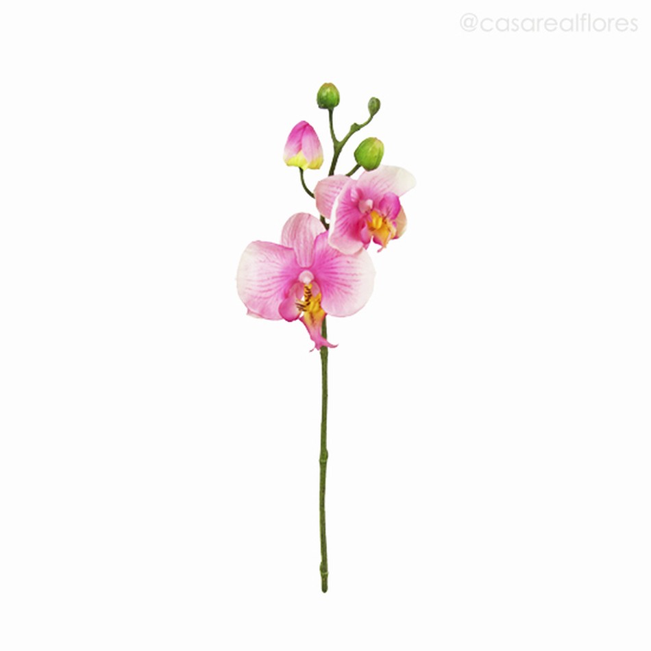 Imagem 1 do produto Orquídea Phalaenopsis (P) - PK Artificial - Rosa (9771)