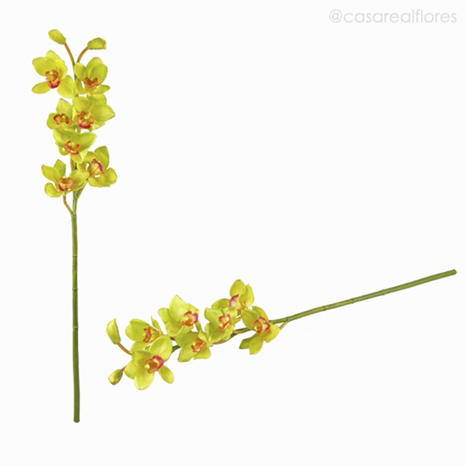 Orquídea Cymbidium Artificial - Verde Claro (7825) - Casa Real Flores e  Decorações