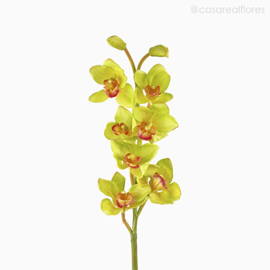 Imagem 2 do produto Orquídea Cymbidium Artificial - Verde Claro (7825)