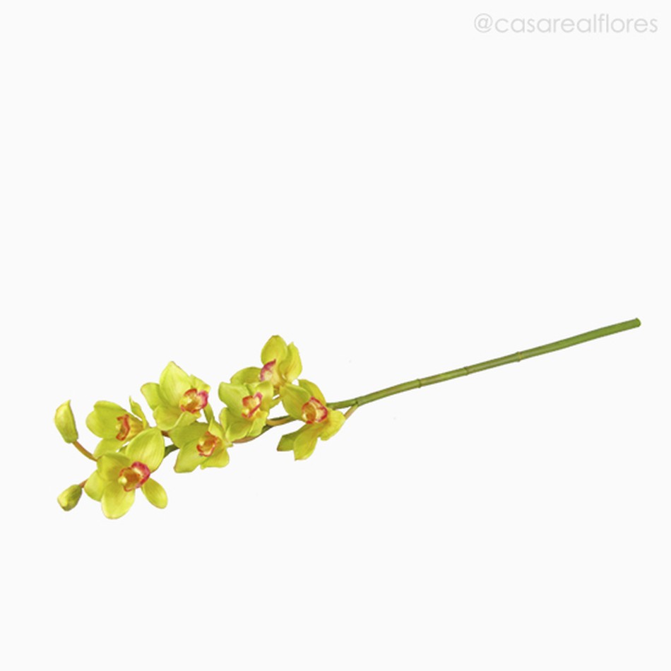 Imagem 3 do produto Orquídea Cymbidium Artificial - Verde Claro (7825)