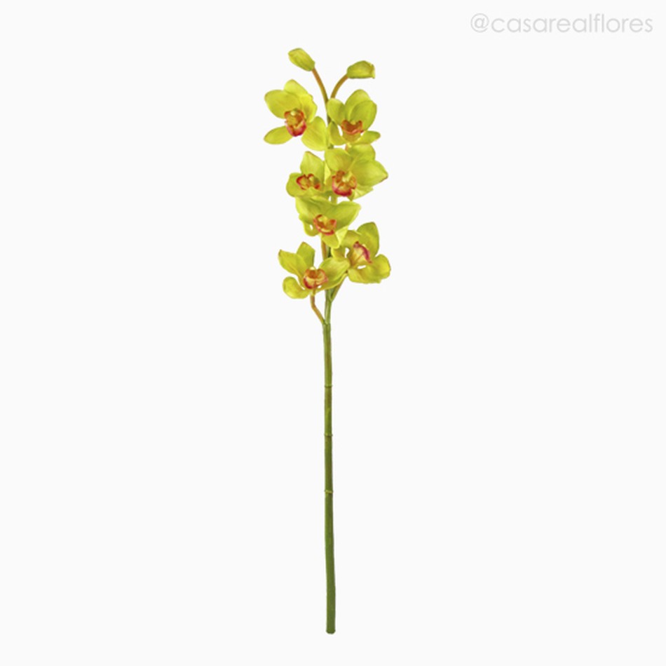 Orquídea Cymbidium Artificial - Verde Claro (7825) - Casa Real Flores e  Decorações