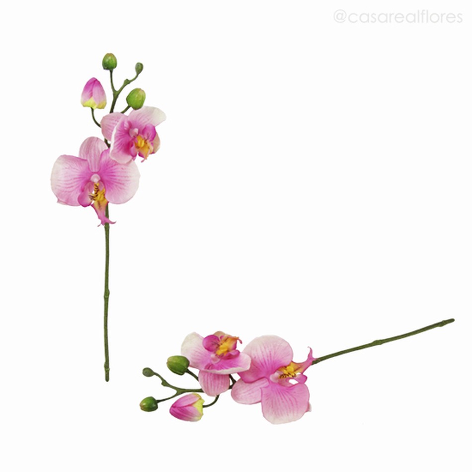 Imagem 5 do produto Orquídea Phalaenopsis (P) - PK Artificial - Rosa (9771)