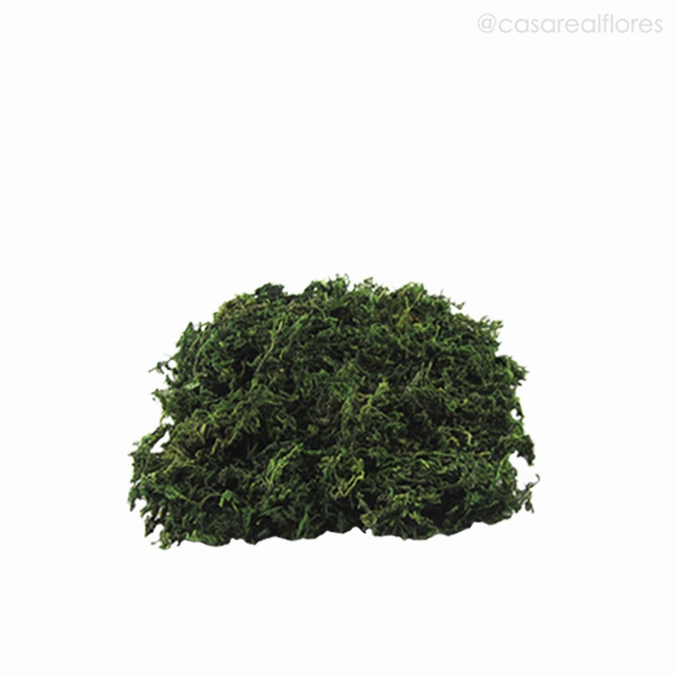 Imagem 1 do produto Musgo Artificial - Verde Escuro (7583)