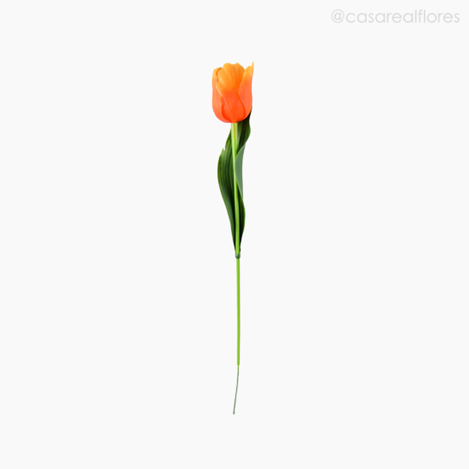 Imagem 1 do produto Tulipa Plástico - Laranja (9227)