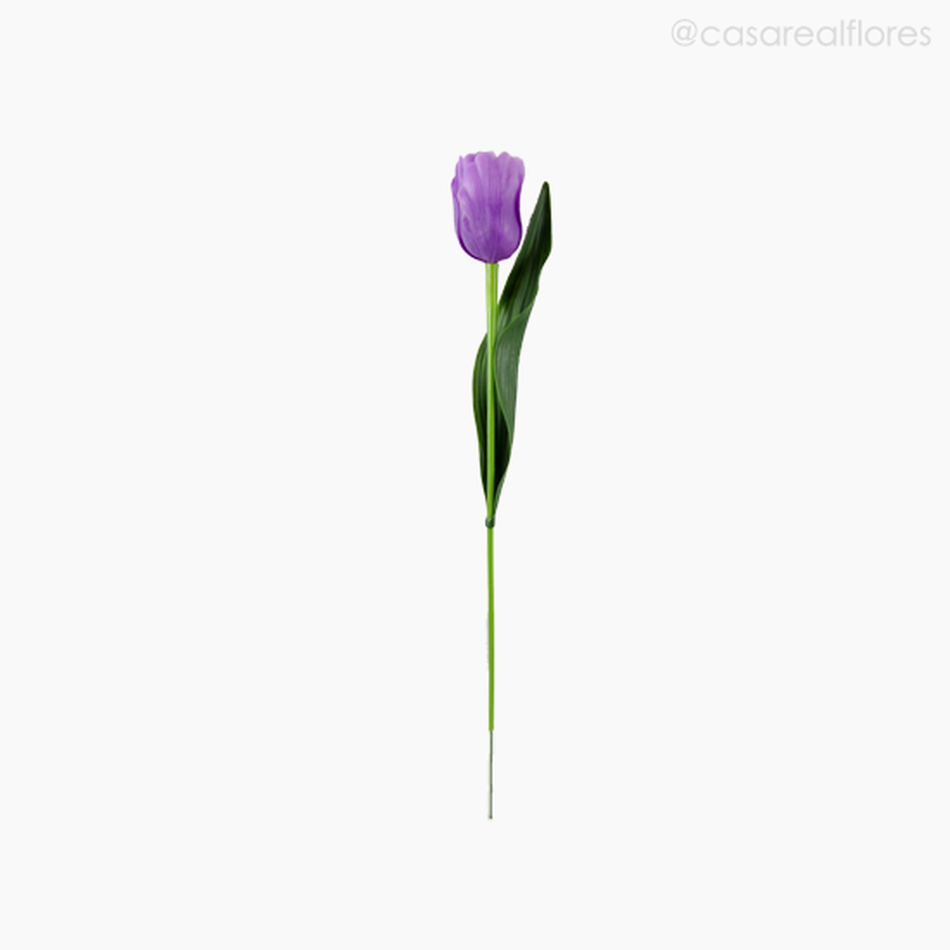 Imagem 1 do produto Tulipa Plastico - Roxo (9227)