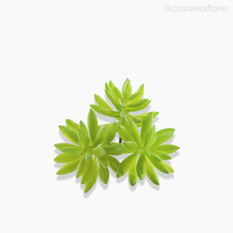 Imagem 3 do produto Suculento Artificial - Verde (10588)