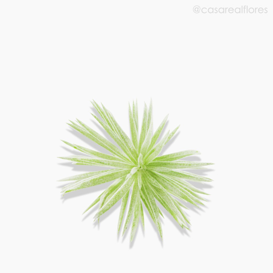 Imagem 3 do produto Suculento Artificial - Verde Claro (10605)