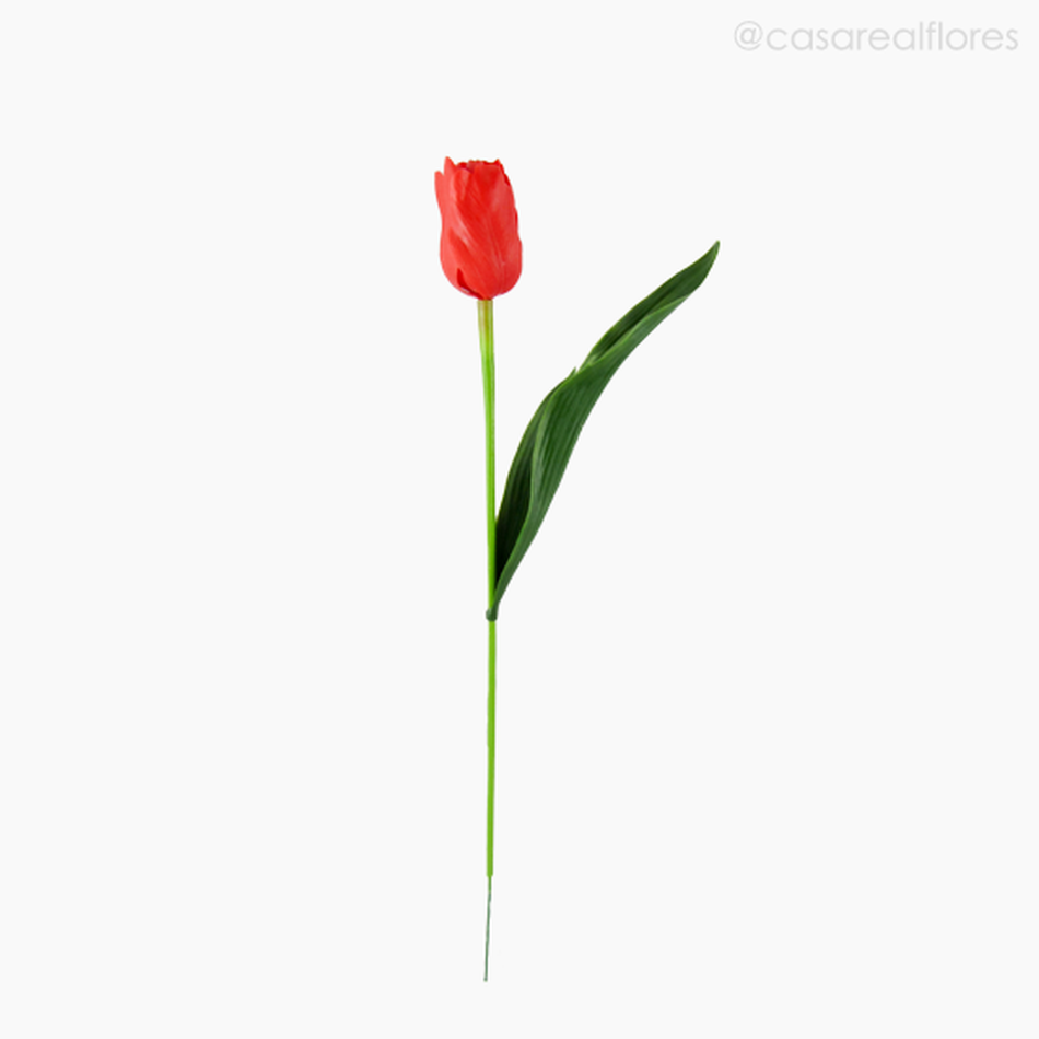 Imagem 1 do produto Tulipa Plástico - Vermelho (92276)