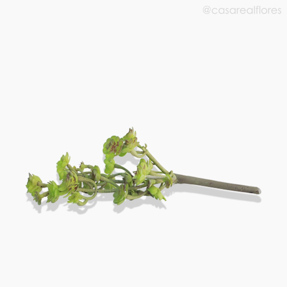 Imagem 2 do produto Suculento Sedum Pick Artificial - Verde (10021)