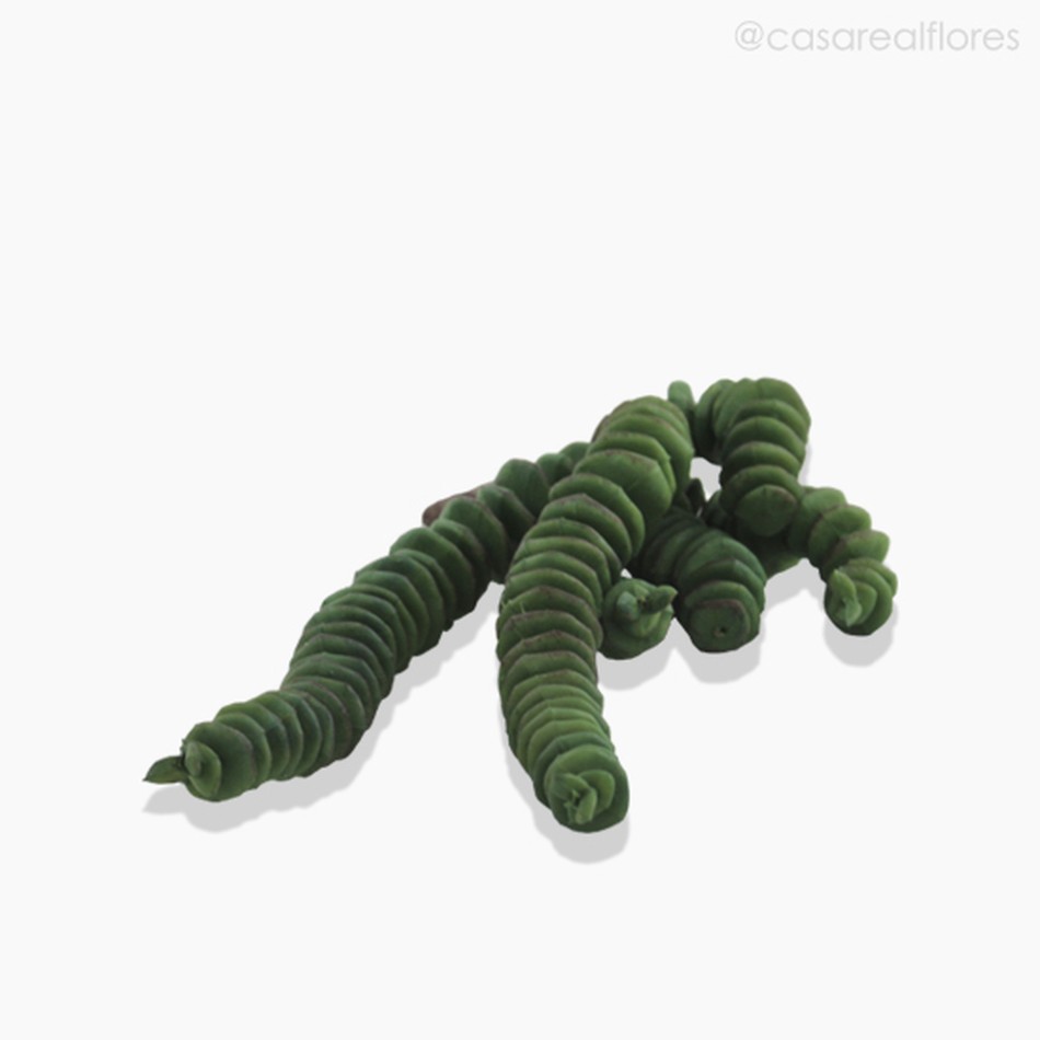 Imagem 3 do produto Suculento Money Pick Artificial - Verde Escuro (10020)