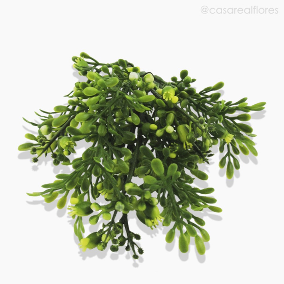 Imagem 3 do produto Pick Mini Boxwood C/Thorn Berry Artificial - Verde (7174)
