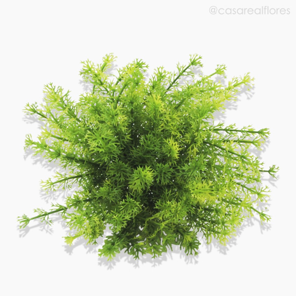Imagem 3 do produto Folha Cenoura Pick Artificial - Verde (10594)
