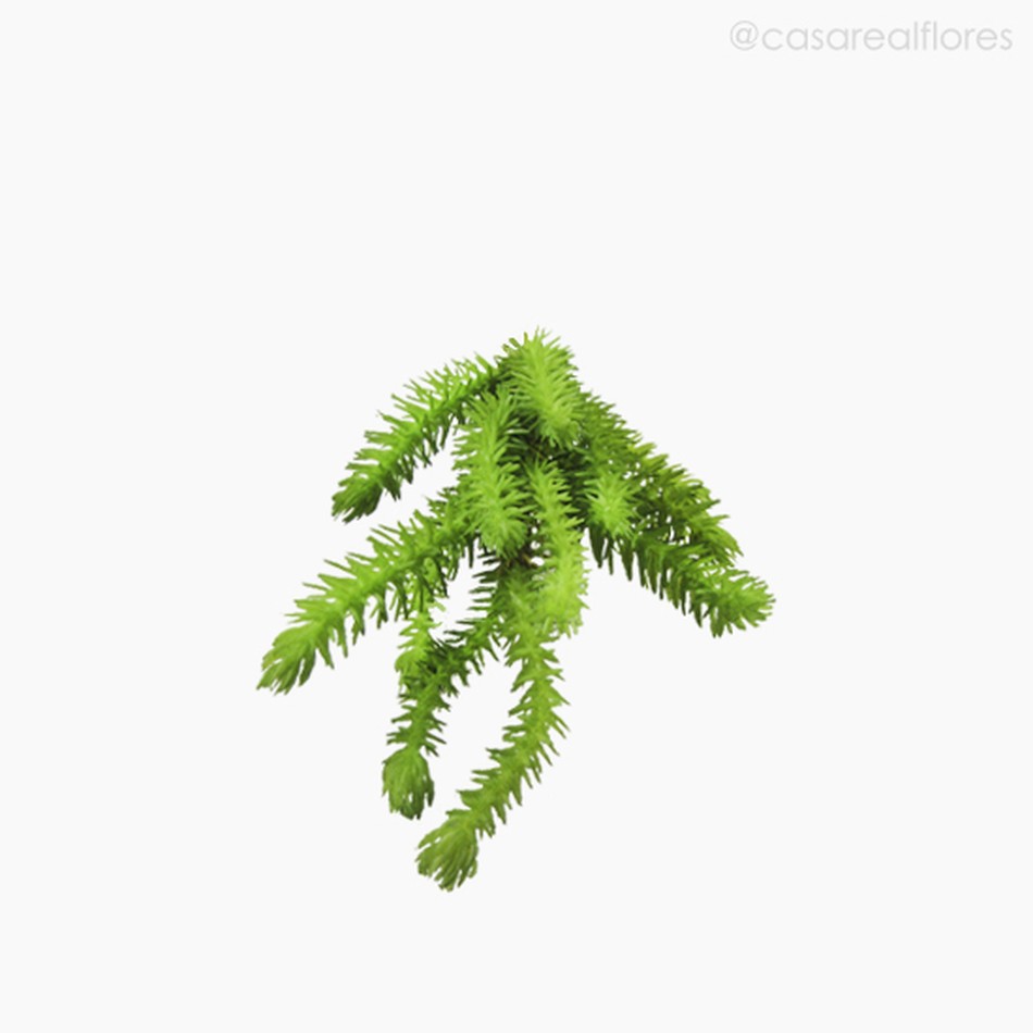 Imagem 3 do produto Mini Folhagem Pine Pick Artificial - Verde (10805)