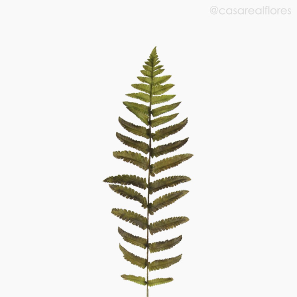 Imagem 2 do produto Galho Folha Fern Leaf Artificial - Verde (10847)