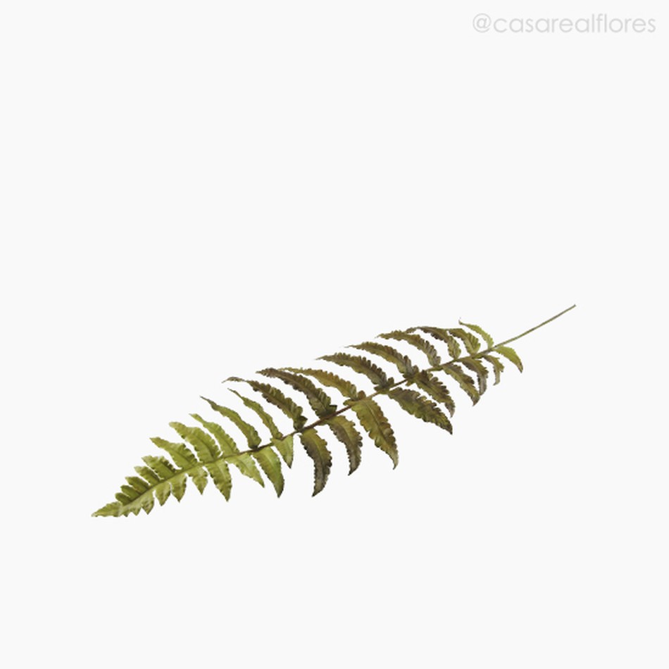 Imagem 3 do produto Galho Folha Fern Leaf Artificial - Verde (10847)