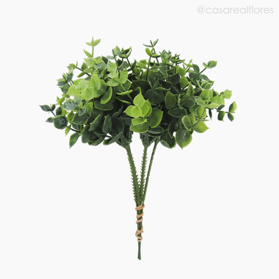 Imagem 1 do produto Pick Eucaliptus Com Pó Artificial - Verde (9961)