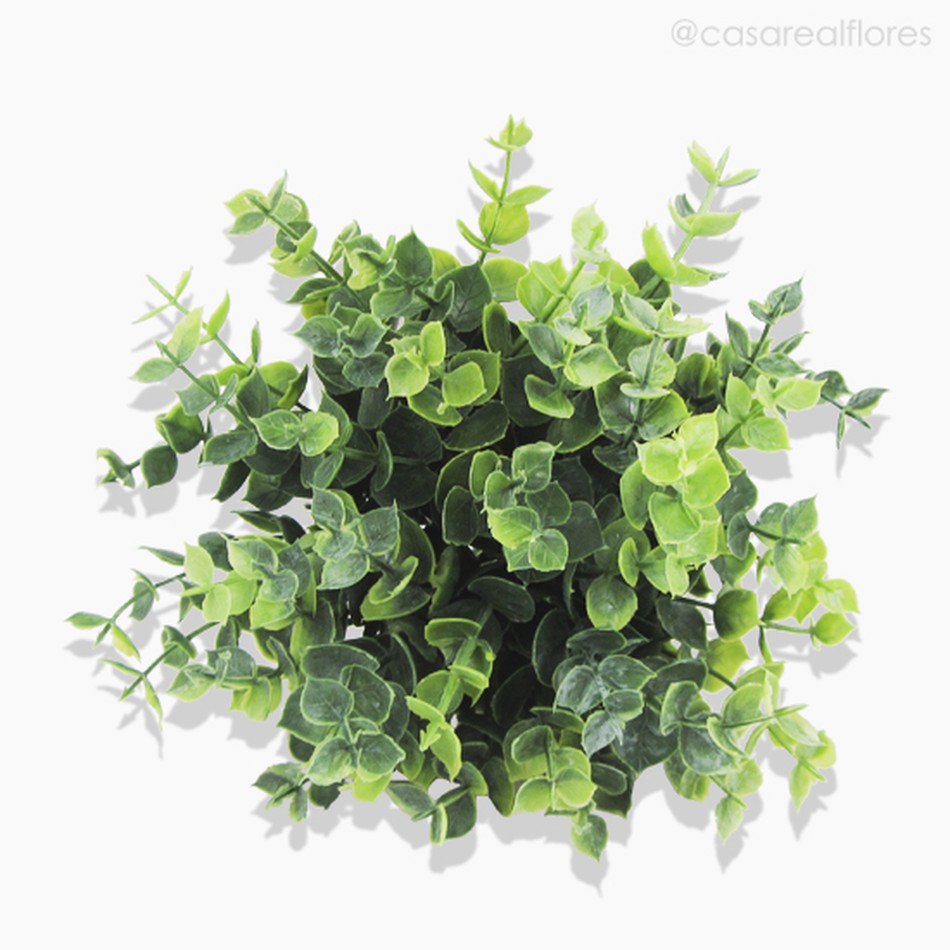 Imagem 3 do produto Pick Eucaliptus Com Pó Artificial - Verde (9961)