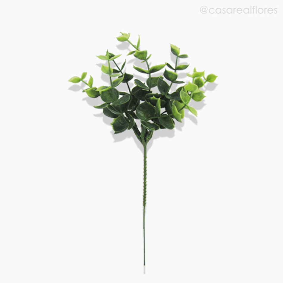 Imagem 2 do produto Pick Eucaliptus Com Pó Artificial - Verde (9961)