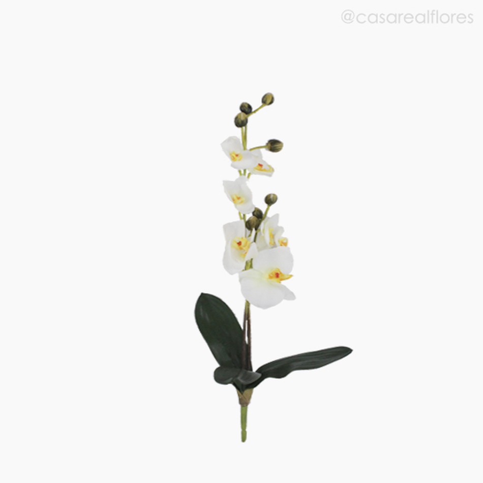 Imagem 1 do produto Orquídea Phalaenopsis Artificial - Branco (7725)