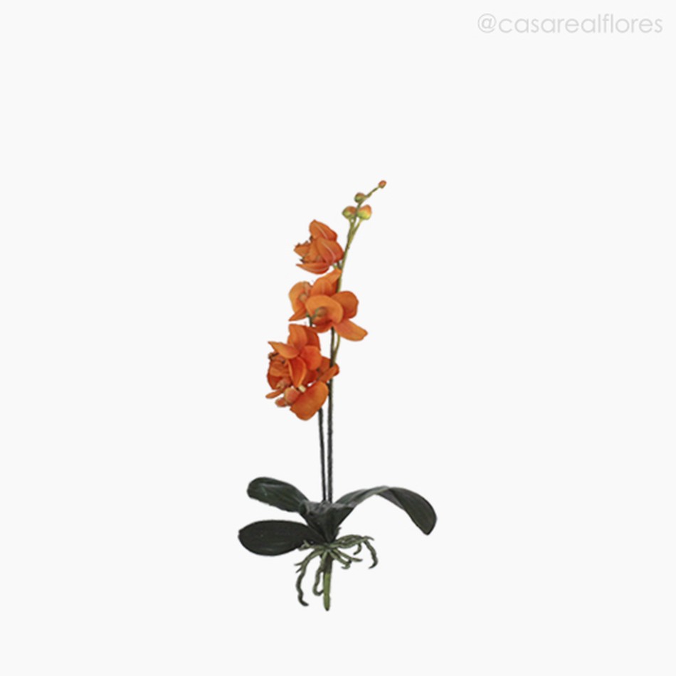 Orquídea Phalaenopsis Artificial - Laranja (7707) - Casa Real Flores e  Decorações